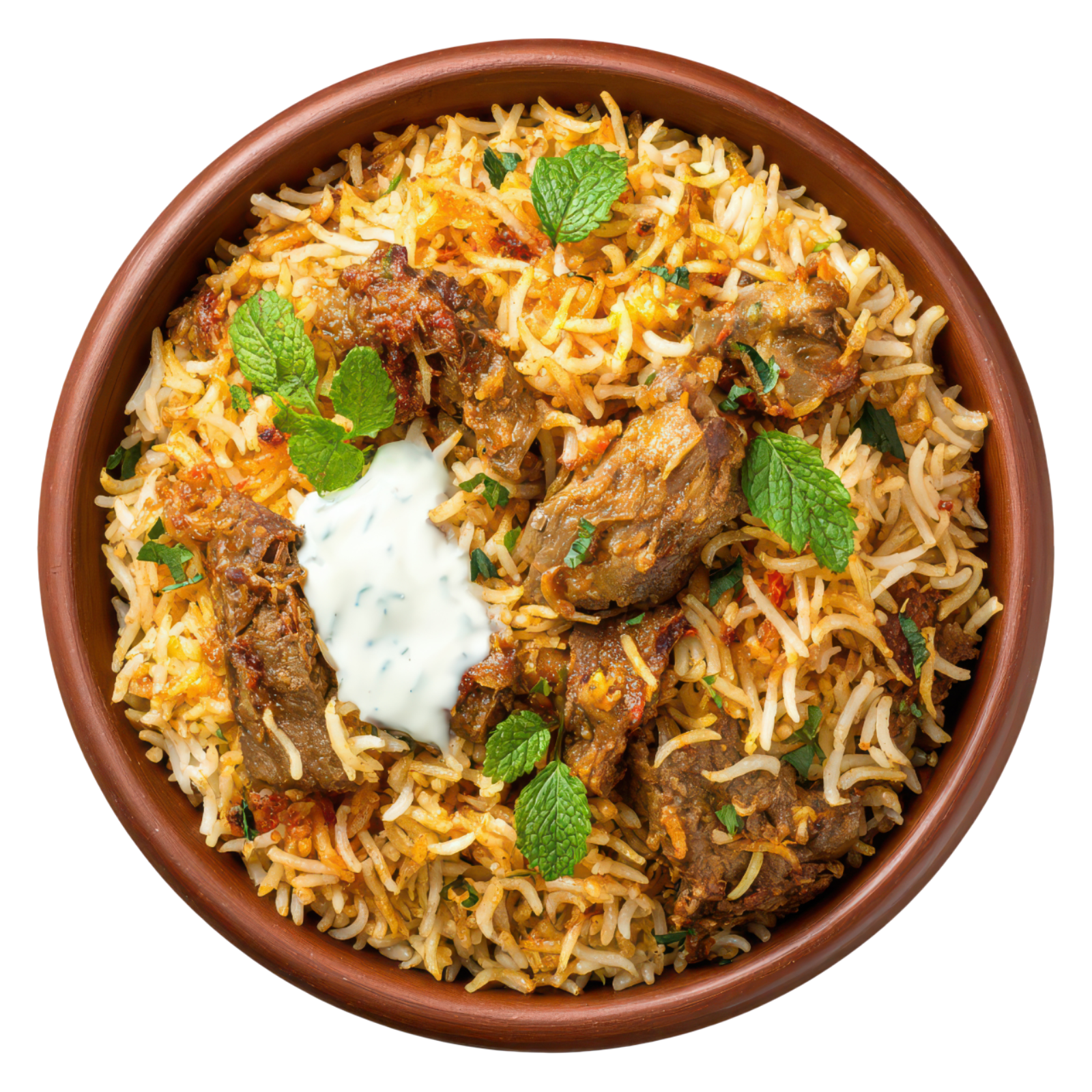 Royal Matka Biryani